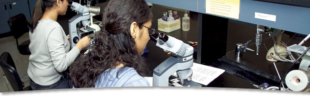 Photo of students using microscopes
